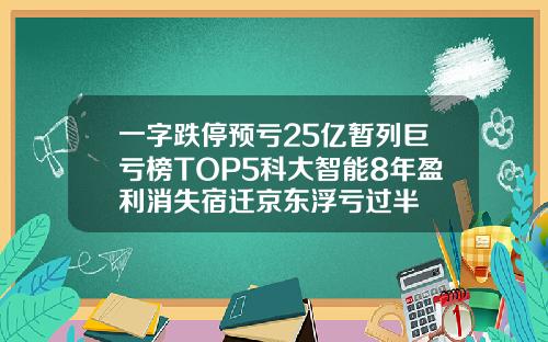 一字跌停预亏25亿暂列巨亏榜TOP5科大智能8年盈利消失宿迁京东浮亏过半