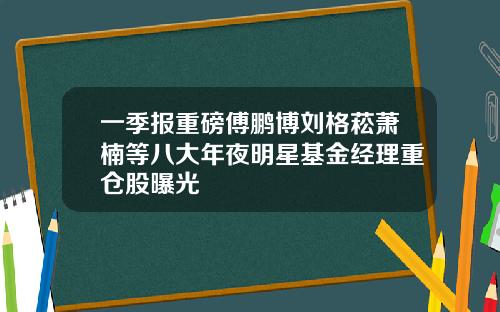 一季报重磅傅鹏博刘格菘萧楠等八大年夜明星基金经理重仓股曝光