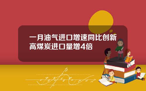 一月油气进口增速同比创新高煤炭进口量增4倍