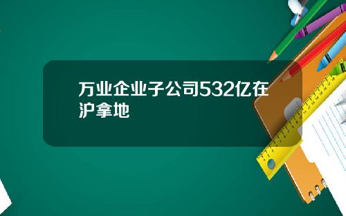 万业企业子公司532亿在沪拿地