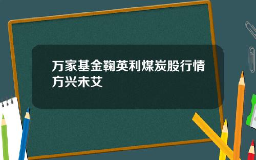 万家基金鞠英利煤炭股行情方兴未艾