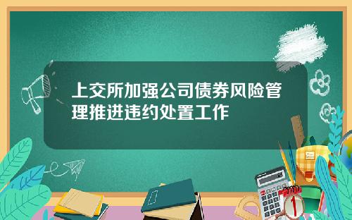 上交所加强公司债券风险管理推进违约处置工作