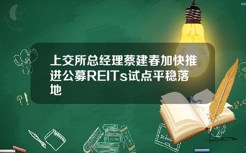 上交所总经理蔡建春加快推进公募REITs试点平稳落地