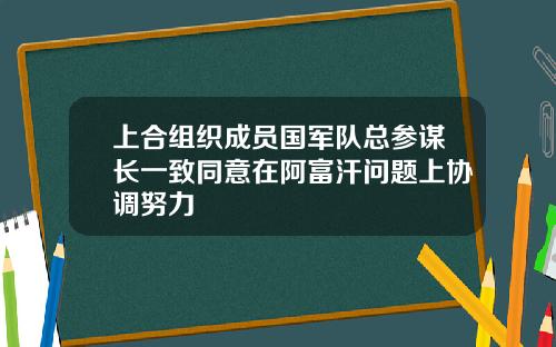 上合组织成员国军队总参谋长一致同意在阿富汗问题上协调努力