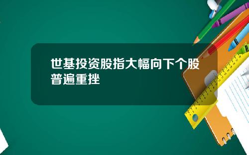 世基投资股指大幅向下个股普遍重挫