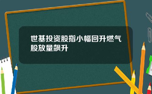 世基投资股指小幅回升燃气股放量飙升