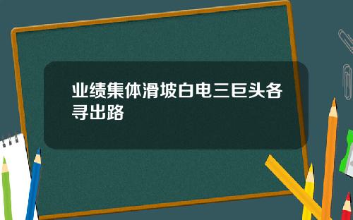 业绩集体滑坡白电三巨头各寻出路