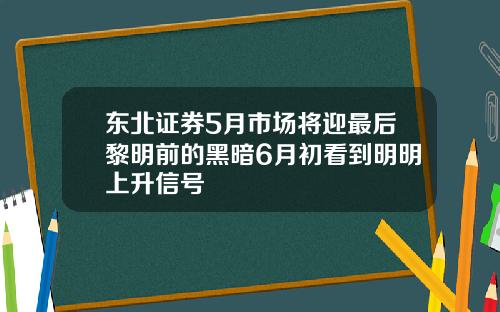 东北证券5月市场将迎最后黎明前的黑暗6月初看到明明上升信号