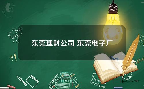 东莞理财公司 东莞电子厂