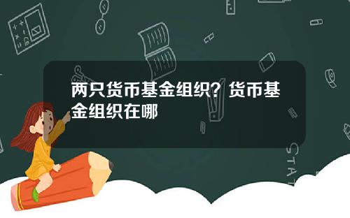 两只货币基金组织？货币基金组织在哪