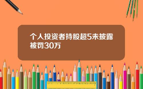 个人投资者持股超5未披露被罚30万