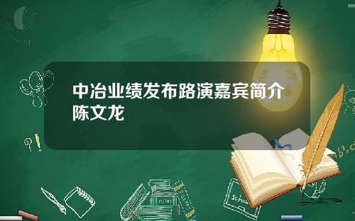 中冶业绩发布路演嘉宾简介陈文龙