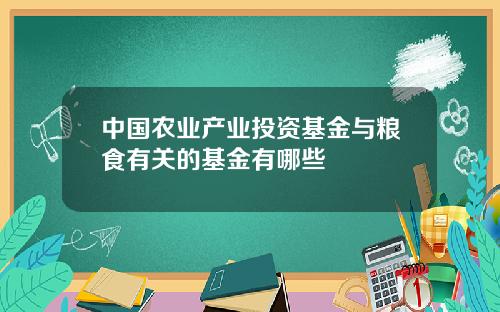 中国农业产业投资基金与粮食有关的基金有哪些