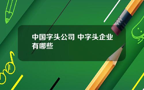 中国字头公司 中字头企业有哪些