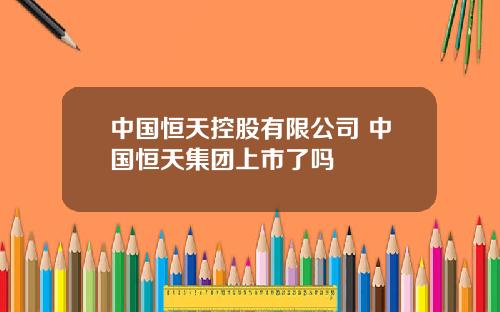 中国恒天控股有限公司 中国恒天集团上市了吗