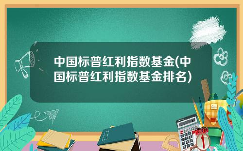 中国标普红利指数基金(中国标普红利指数基金排名)