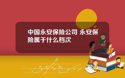 中国永安保险公司 永安保险属于什么档次