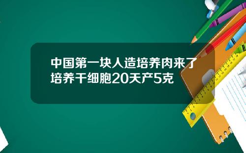 中国第一块人造培养肉来了培养干细胞20天产5克