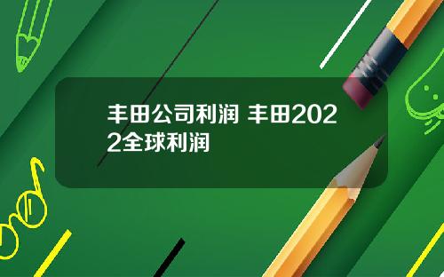 丰田公司利润 丰田2022全球利润