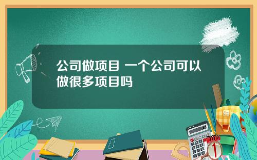 公司做项目 一个公司可以做很多项目吗