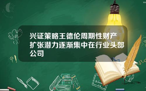 兴证策略王德伦周期性财产扩张潜力逐渐集中在行业头部公司