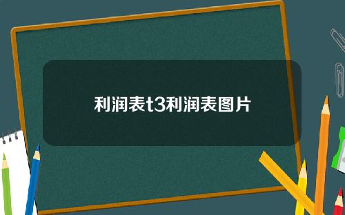 利润表t3利润表图片