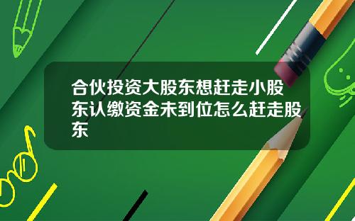 合伙投资大股东想赶走小股东认缴资金未到位怎么赶走股东