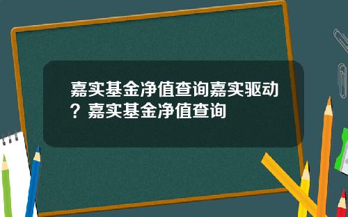 嘉实基金净值查询嘉实驱动？嘉实基金净值查询