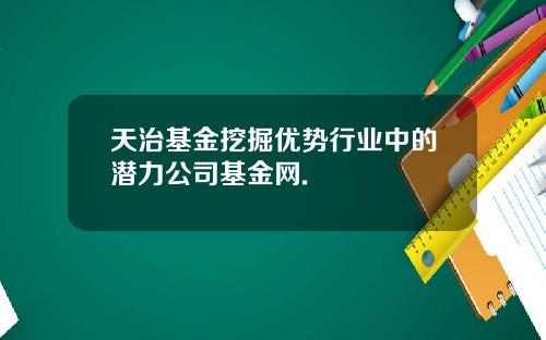 天治基金挖掘优势行业中的潜力公司基金网.