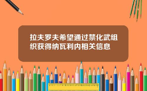 拉夫罗夫希望通过禁化武组织获得纳瓦利内相关信息