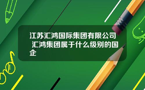 江苏汇鸿国际集团有限公司 汇鸿集团属于什么级别的国企