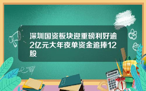 深圳国资板块迎重磅利好逾2亿元大年夜单资金追捧12股