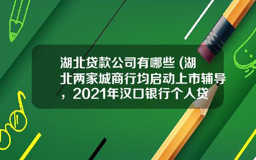 湖北贷款公司有哪些 (湖北两家城商行均启动上市辅导，2021年汉口银行个人贷款大增50.64%，湖北银行拨备覆盖率增加52.42个百分点)_1