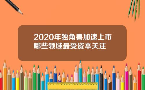 2020年独角兽加速上市哪些领域最受资本关注