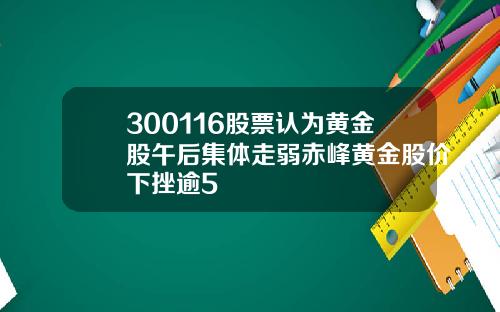 300116股票认为黄金股午后集体走弱赤峰黄金股价下挫逾5