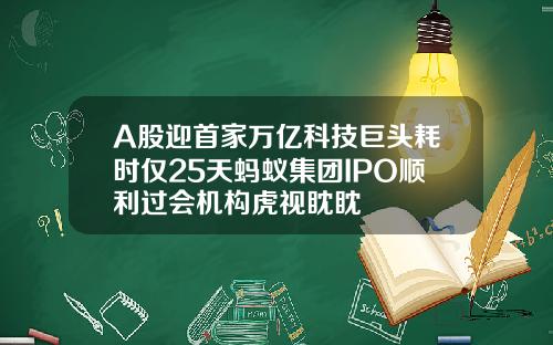 A股迎首家万亿科技巨头耗时仅25天蚂蚁集团IPO顺利过会机构虎视眈眈