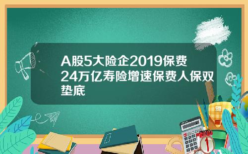 A股5大险企2019保费24万亿寿险增速保费人保双垫底