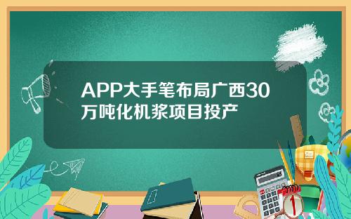 APP大手笔布局广西30万吨化机浆项目投产