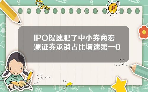 IPO提速肥了中小券商宏源证券承销占比增速第一0