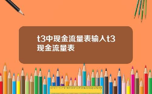 t3中现金流量表输入t3现金流量表