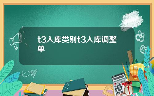 t3入库类别t3入库调整单