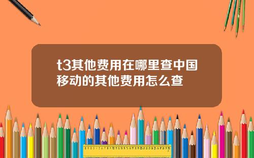 t3其他费用在哪里查中国移动的其他费用怎么查