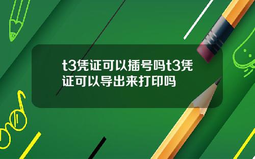 t3凭证可以插号吗t3凭证可以导出来打印吗