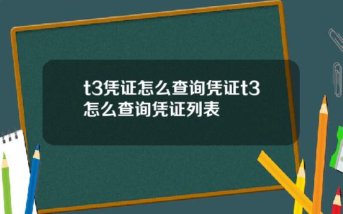 t3凭证怎么查询凭证t3怎么查询凭证列表