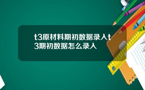 t3原材料期初数据录入t3期初数据怎么录入