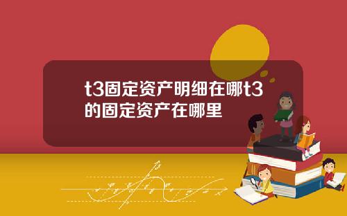 t3固定资产明细在哪t3的固定资产在哪里