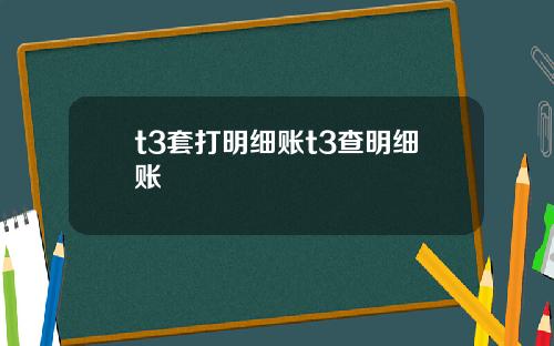 t3套打明细账t3查明细账