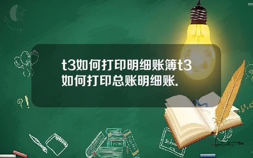 t3如何打印明细账簿t3如何打印总账明细账.