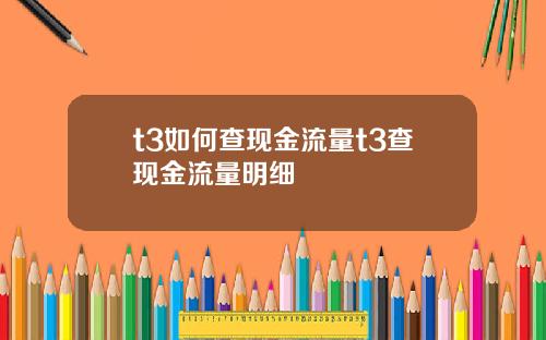 t3如何查现金流量t3查现金流量明细