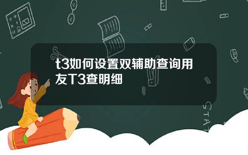 t3如何设置双辅助查询用友T3查明细